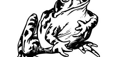 Животные 2688