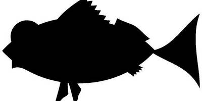 Животные 3097