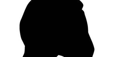 Животные 137