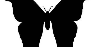 Животные 3239