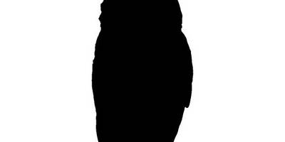 Животные 2335