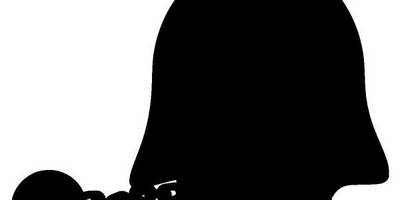 Животные 1518