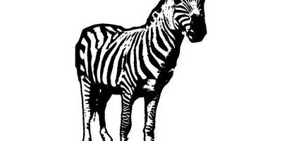 Животные 2401