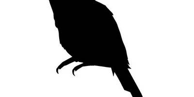 Животные 1991