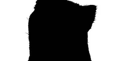 Животные 4291