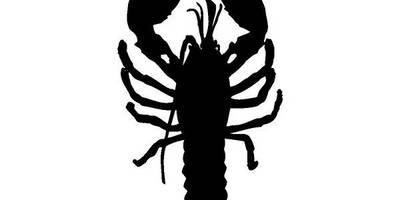 Животные 1906