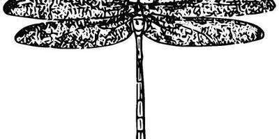 Животные 867