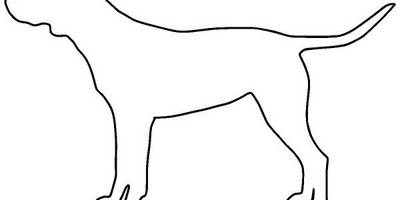 Животные 4225