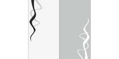 Прямоугольный орнамент 2748