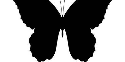 Животные 3467