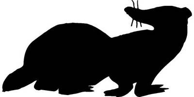 Животные 359