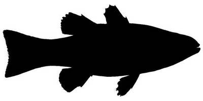 Животные 1084