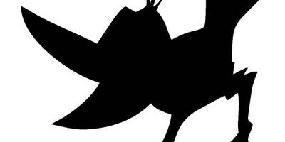 Животные 2771