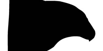 Животные 1193