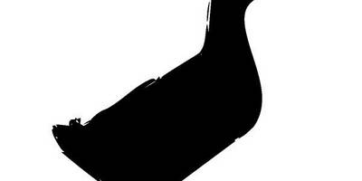 Животные 4060