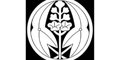 Японский узор 2725