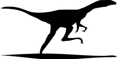 Животные 573