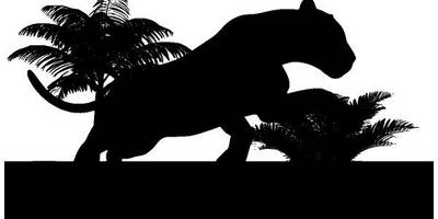 Животные 3478