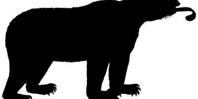 Животные 3804