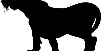 Животные 640