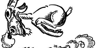 Животные 325