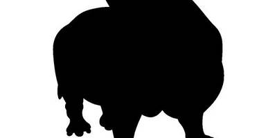 Животные 402