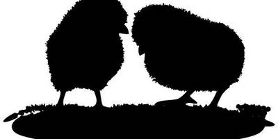 Животные 3519