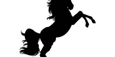 Животные 3572