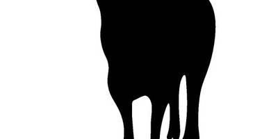 Животные 1589