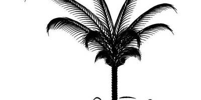 Силуэт пальма 158