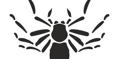 Татуировка 811