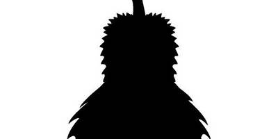 Животные 2286