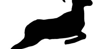 Животные 1332