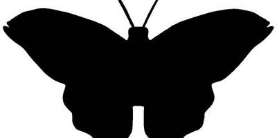 Животные 3141