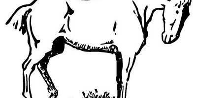 Животные 182