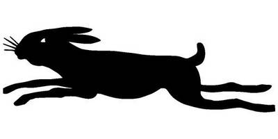 Животные 3443