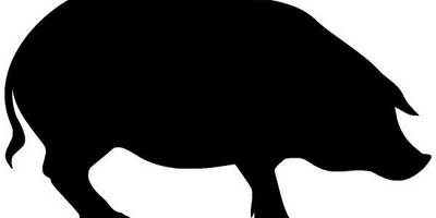 Животные 293