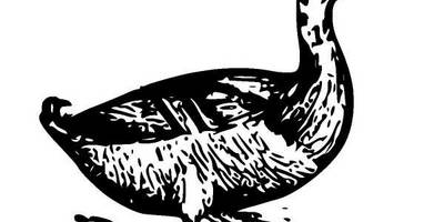 Животные 596