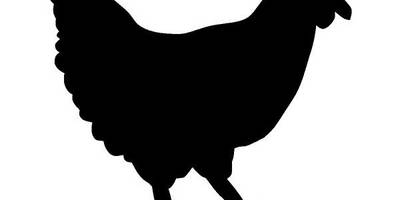 Животные 3600