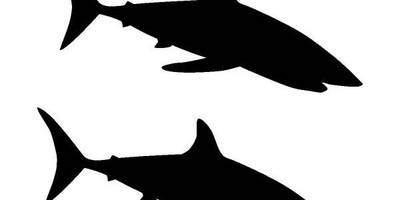 Животные 471