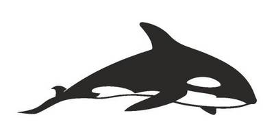 Татуировка 787