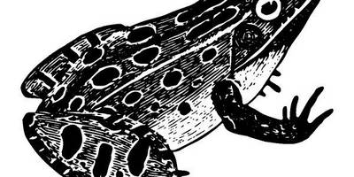 Животные 2823