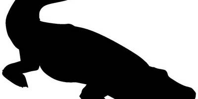 Животные 1873