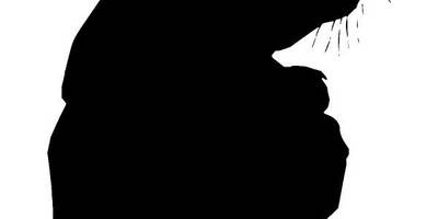 Животные 355