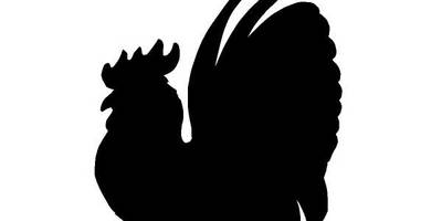 Животные 374