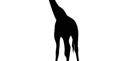 Животные 124