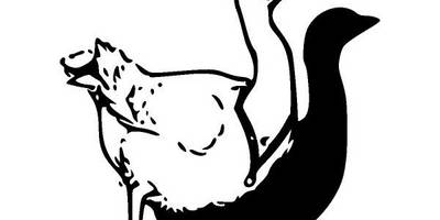 Животные 1194