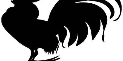 Животные 337