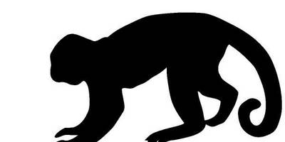 Животные 829