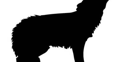 Животные 651